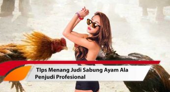 Tips Menang Judi Sabung Ayam Ala Penjudi Profesional